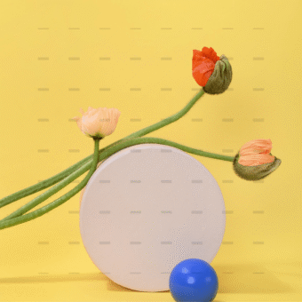 demo-attachment-261-pexels-daria-liudnaya-7354444-min