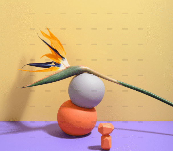 demo-attachment-254-pexels-daria-liudnaya-7354472-min