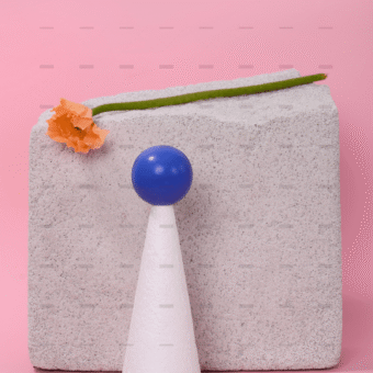 demo-attachment-1651-pexels-daria-liudnaya-7354801